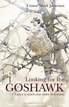 Looking for the Goshawk - Jameson, Conor, Mark