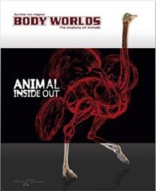 Gunther Von Hagens' Body Worlds - The Anatomy of Animals