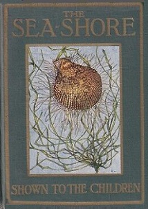 The Sea-Shore Shown to the Children - Kelman. Janet Harvey and Wood, Theodore