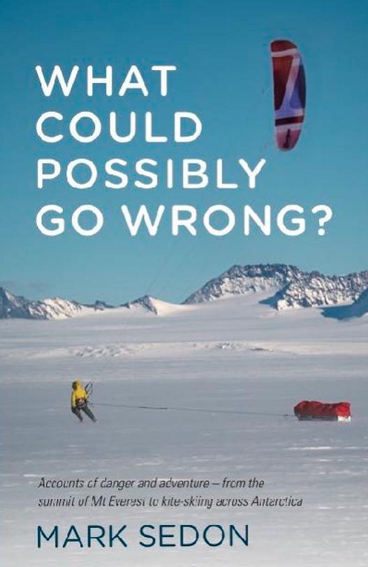 What Could Possibly Go Wrong? - Sedon, Mark