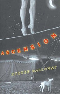 Ascension - Galloway, Steven
