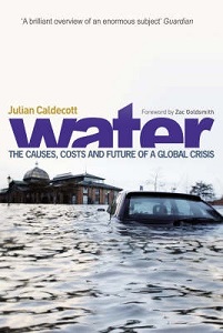Water - The Causes, Costs and Future of a Global Crisis - Caldecott, Julian
