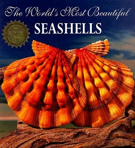 The World's Most Beautiful Seashells - Hill, Leonard (text) and Carmihael, Pete (photography)