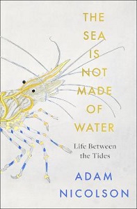 The Sea is Not Made of Water - Life Between the Tides - Nicolson, Adam