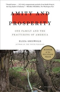 Amity and Prosperity - One Family and the Fracturing of America - Griswold, Eliza
