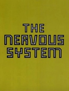 The Nervous System - 12 Artists Explore Images And Identities In Crisis - Pitts, Priscilla and Smith, Allan (eds.)