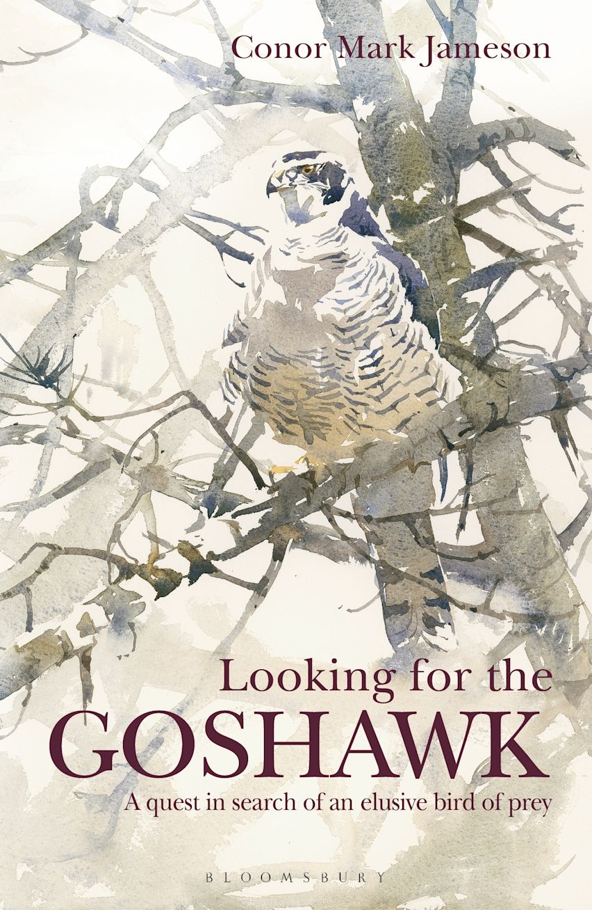 Looking for the Goshawk - Jameson, Conor, Mark
