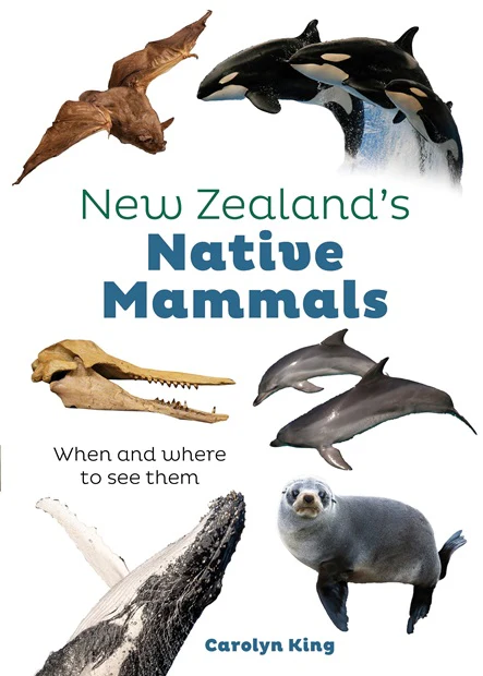 New Zealand's Native Mammals - King, Carolyn