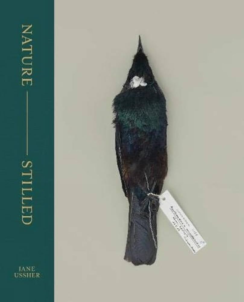Nature - Stilled - Ussher, Jane