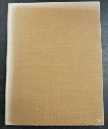 The Geology of Bruce Bay - Haast River, South Westland - Wellman, H.W.