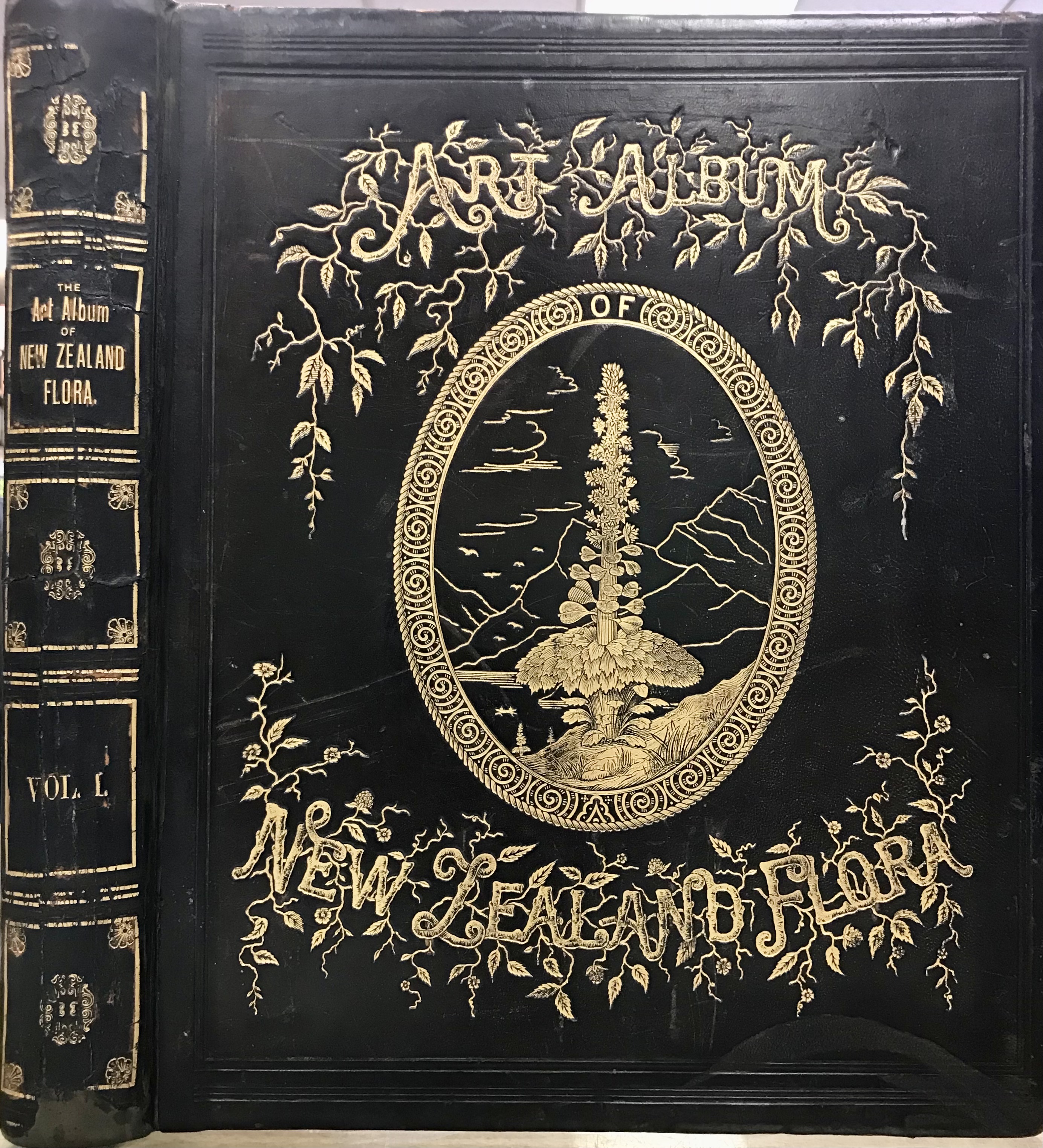 The Art Album of New Zealand Flora - Being a Systematic and Popular Description of the Native Flowering Plants of New Zealand and the Adjacent Islands Volume I - Featon, Mr & Mrs Edward Henry