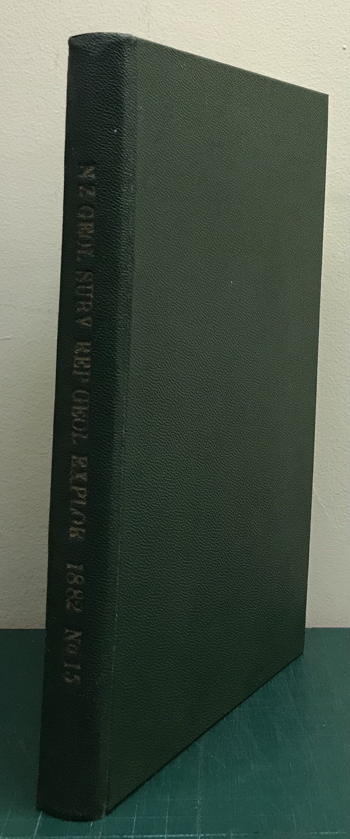 Reports of Geological Explorations During 1882 with Maps and Sections