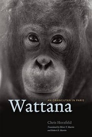 Wattana - An Orangutan in Paris