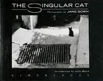 The Singular Cat - Photographs - Bown, Jane