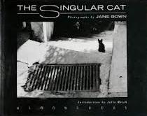 The Singular Cat  - Photographs