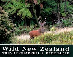 Wild New Zealand