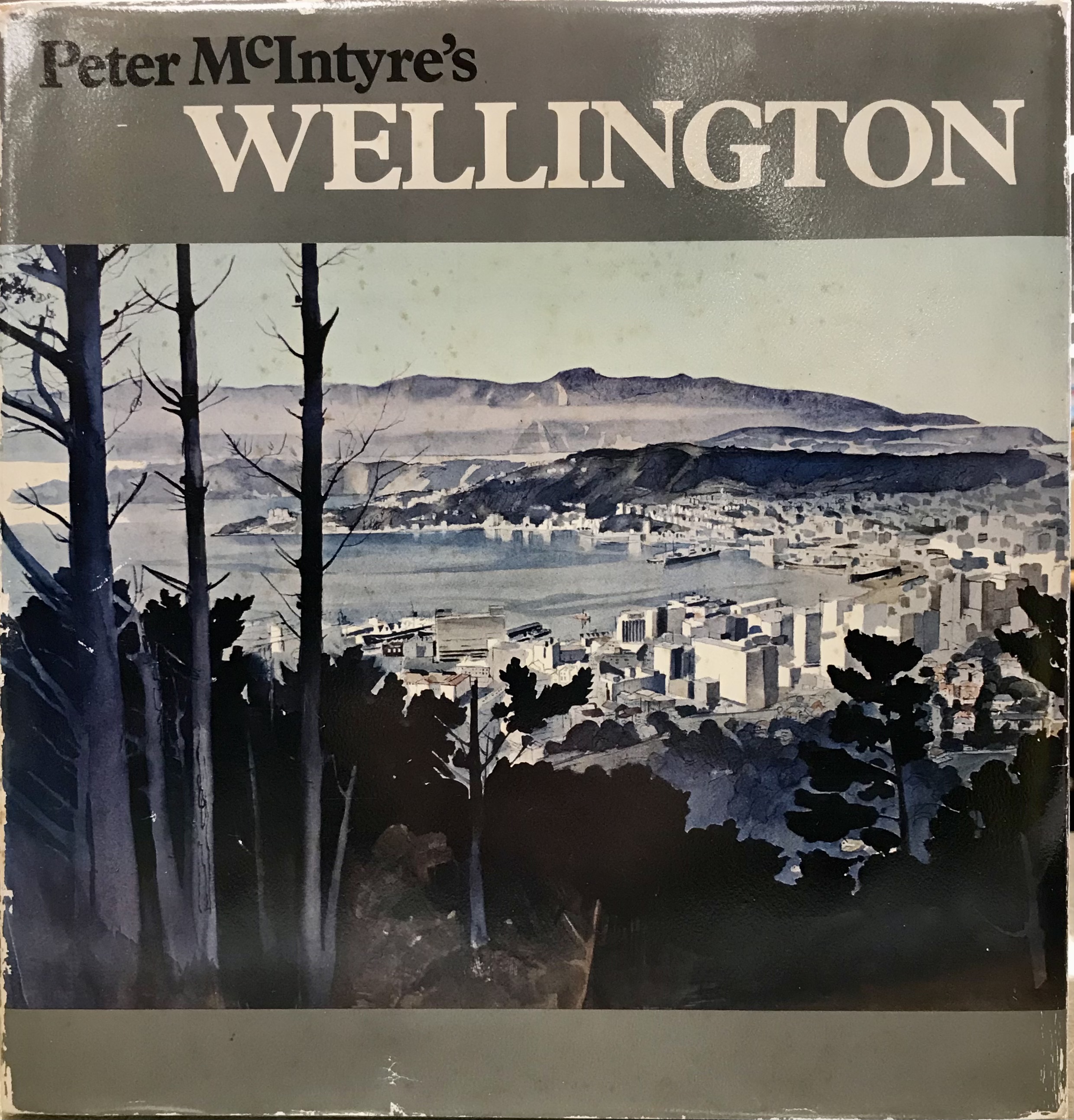 Peter McIntyre's Wellington