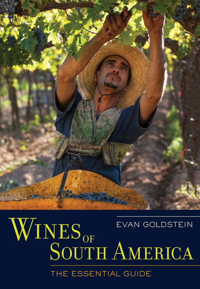 Wines of South America : The Essential Guide