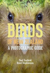 Birds of New Zealand - A Photographic Guide - Scofield, Paul and Stephenson, Brent
