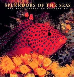 Splendors of the Seas: The Photographs of Norbert Wu