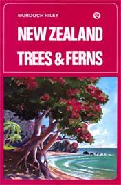 New Zealand Trees And Ferns