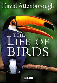 The Life of Birds