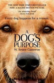 A Dog's Purpose - Every Dog Happens for a Reason