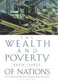 The Wealth and Poverty of Nations - Why Some Are So Rich and Some So Poor - Landes, David