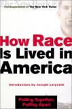 How Race Is Lived In America - Pulling Together, Pulling Apart