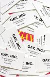 Gay, Inc. The Nonprofitization of Queer Politics