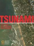 Tsunami - The World's Most Terrifying Natural Disaster