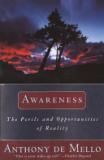 Awareness - The Perils and Opportunities of Reality