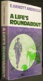 A Life's Roundabout