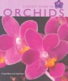 Pocket Guide to Orchids