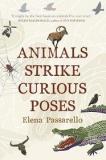 Animals Strike Curious Poses - Essays