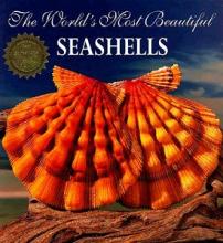 The World's Most Beautiful Seashells - Hill, Leonard (text) and Carmihael, Pete (photography)