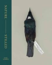 Nature - Stilled - Ussher, Jane