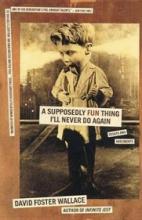 A Supposedly Fun Thing I'll Never Do Again - Essays and Arguments - Wallace, David Foster