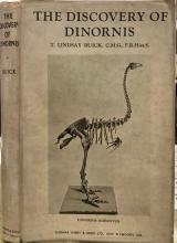 The Discovery of Dinornis - Buick, T. Lindsay