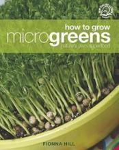 How to Grow Microgreens - Nature's Own Superfood - Hill, Fionna