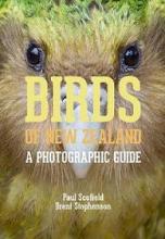 Birds of New Zealand - A Photographic Guide - Scofield, Paul and Stephenson, Brent