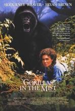 Gorillas in the Mist - Dian Fossey - Her Own Story - Fossey, Dian